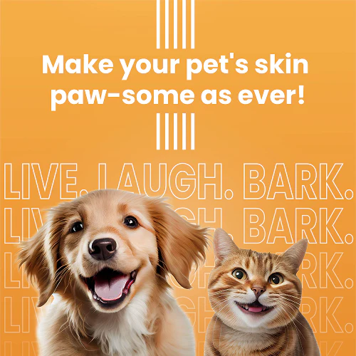 Bark Out Loud Glow and Shine Turmeric Chew Stix for Dogs and Cats - Image 5