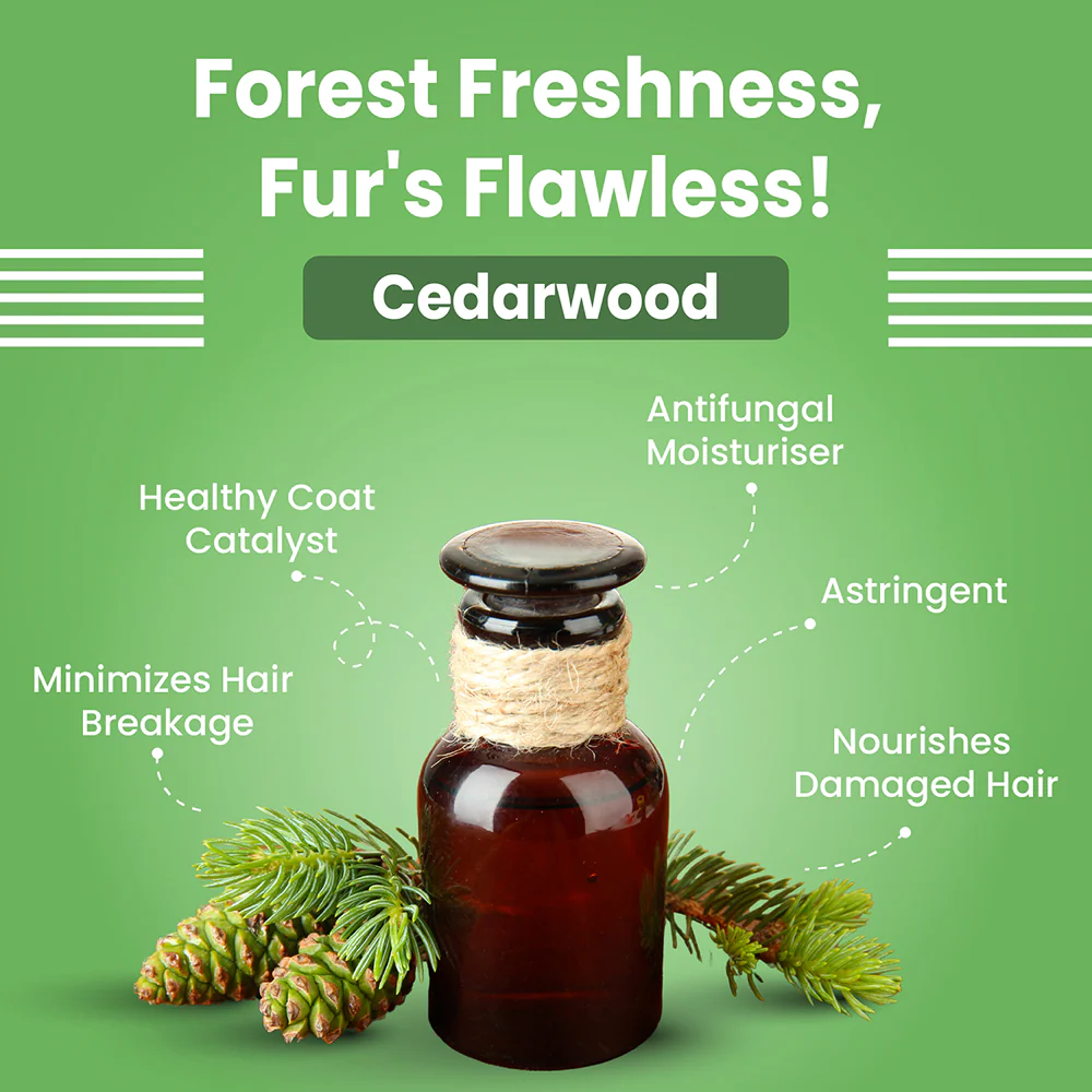 Bark Out Loud Healthy Shiny Coat Shampoo for Dogs - Image 6