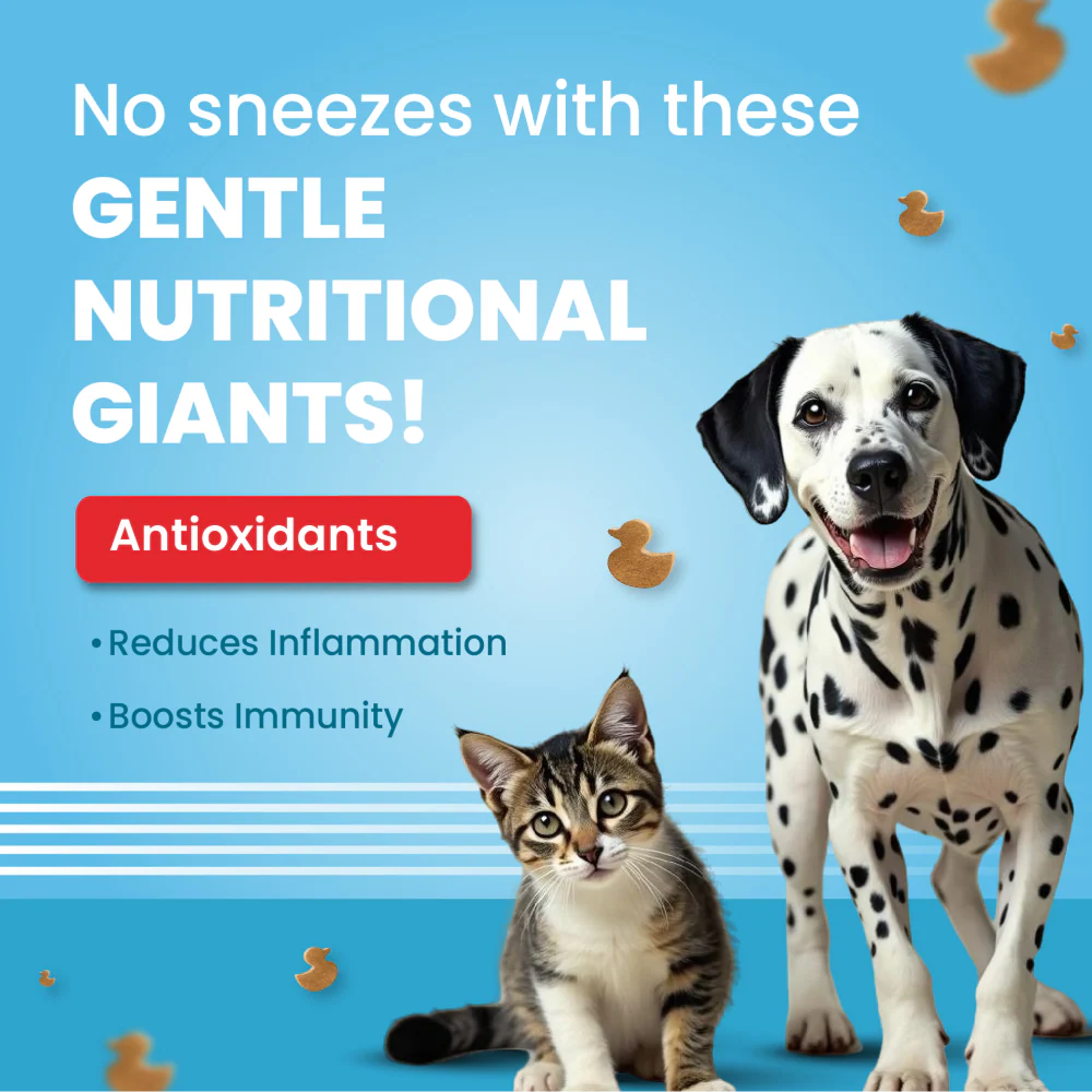Bark Out Loud Hypoallergenic Duck Meat Treats for Cats and Dogs - Image 7