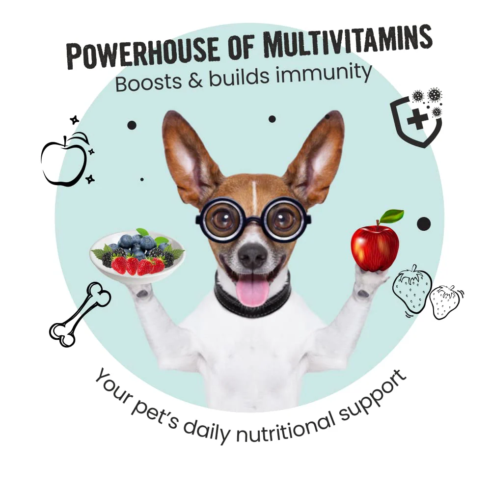 Bark Out Loud Immunity Multi Vitamin Chew Stix and Kong Classic Toy for Dogs and Cats Combo - Image 10