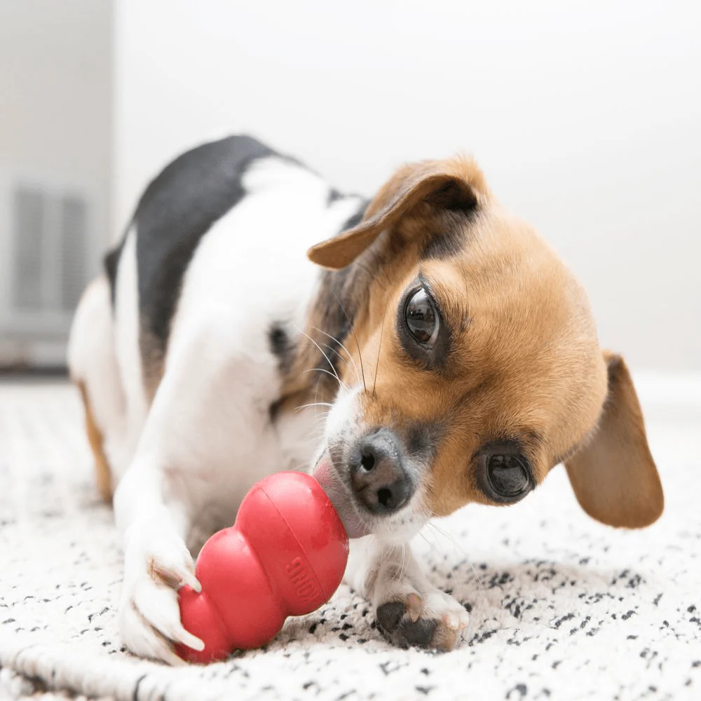 Bark Out Loud Immunity Multi Vitamin Chew Stix and Kong Classic Toy for Dogs and Cats Combo - Image 15