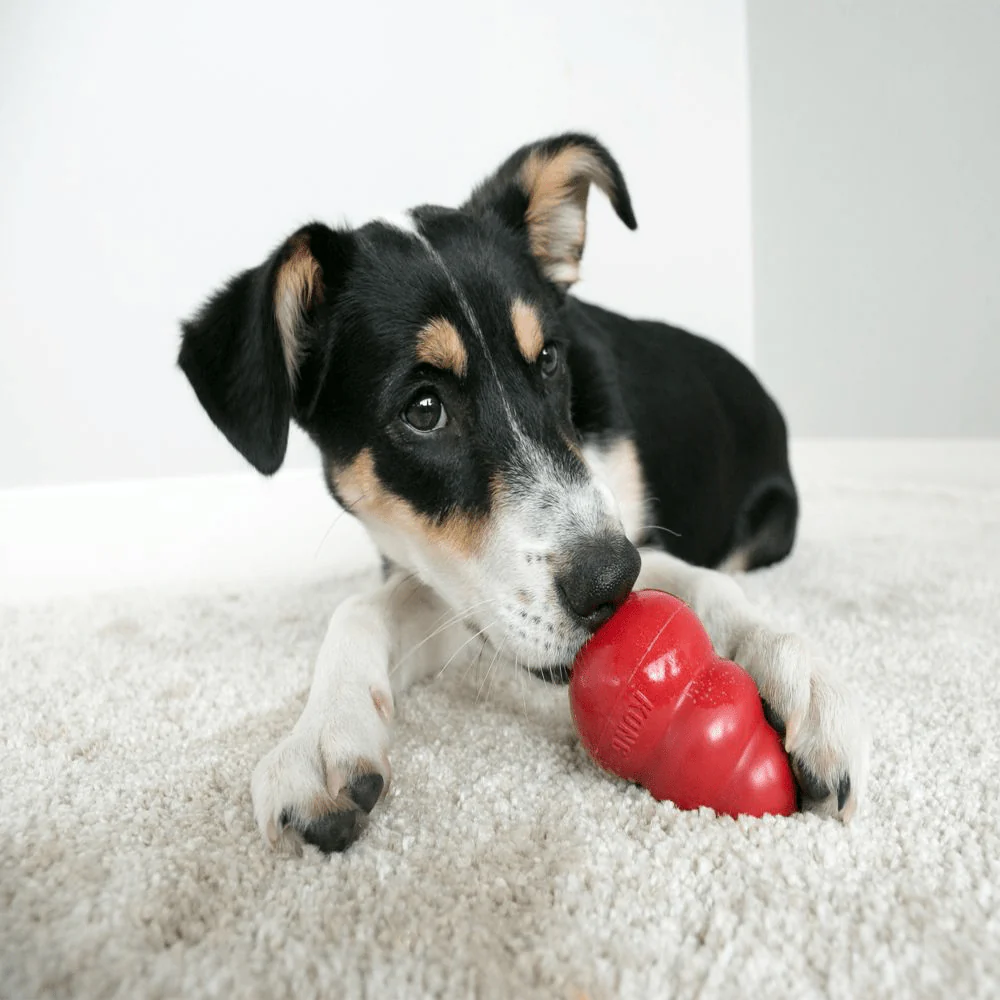 Bark Out Loud Immunity Multi Vitamin Chew Stix and Kong Classic Toy for Dogs and Cats Combo - Image 18