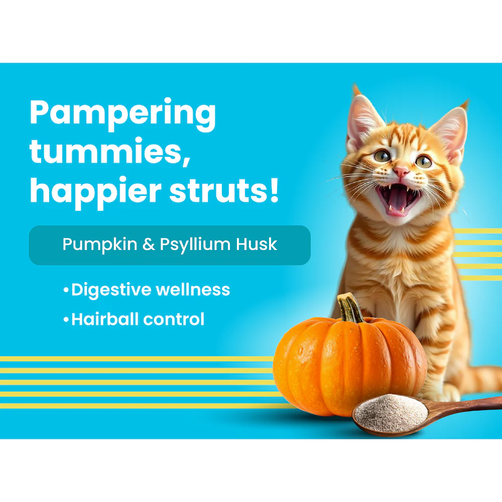 Bark Out Loud Mackerel & Duck Chunks Gravy Adult Cat Wet Food - Image 4