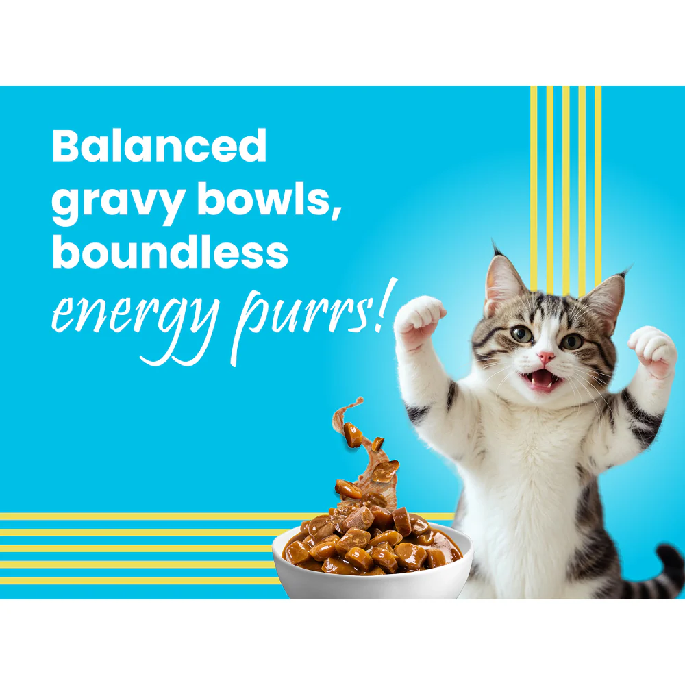 Bark Out Loud Mackerel & Duck Chunks Gravy Adult Cat Wet Food - Image 5