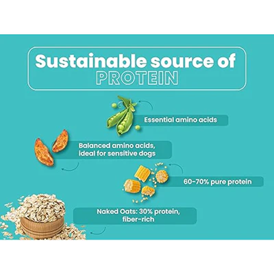 Bark Out Loud Naked Oats & Veggies, Veg Adult Dog Dry Food - Image 5