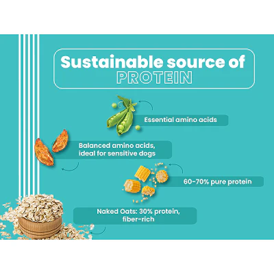 Bark Out Loud Naked Oats & Veggies Veg Mini & Small Breed Adult Dog Dry Food - Image 4