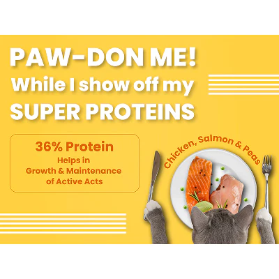 Bark Out Loud Salmon and Chicken Adult Cat Dry Food - Image 4
