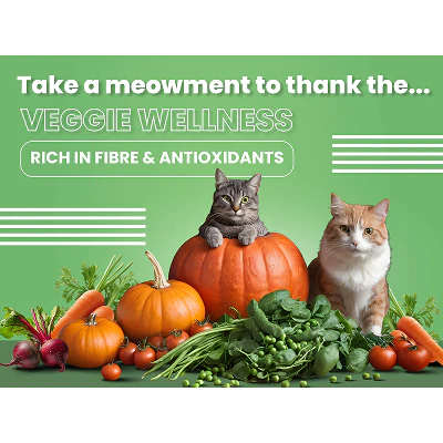 Bark Out Loud Salmon and Chicken Adult Cat Dry Food - Image 5
