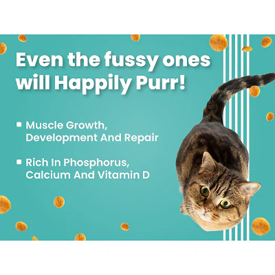 Bark Out Loud Salmon and Chicken Kitten Dry Food - Image 6