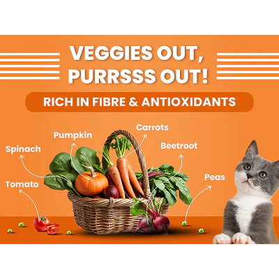 Bark Out Loud Salmon and Chicken Kitten Dry Food - Image 7