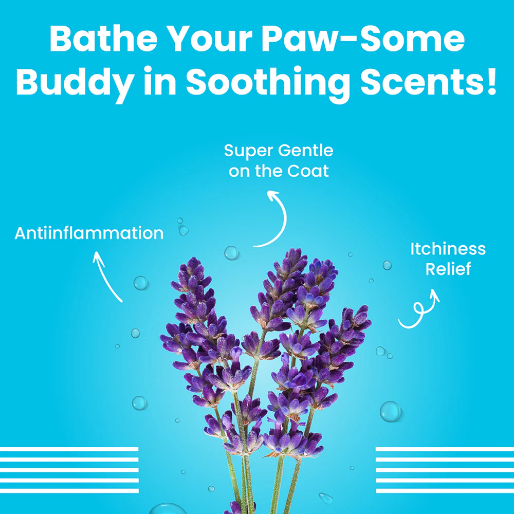 Bark Out Loud Silky Smooth Shampoo & Conditioner for Dogs - Image 4