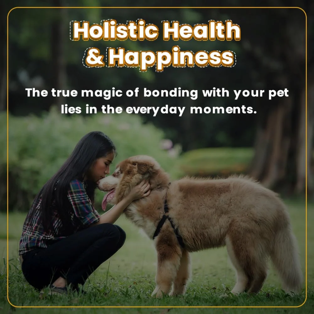 Bark Out Loud Glow and Shine Turmeric and Immunity Multi Vitamin Chew Stix for Dogs and Cats Combo - Image 13