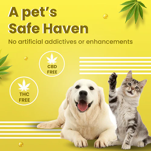 Bark Out Loud Skin & Coat Hemp Chew Stix for Dogs and Cats - Image 5