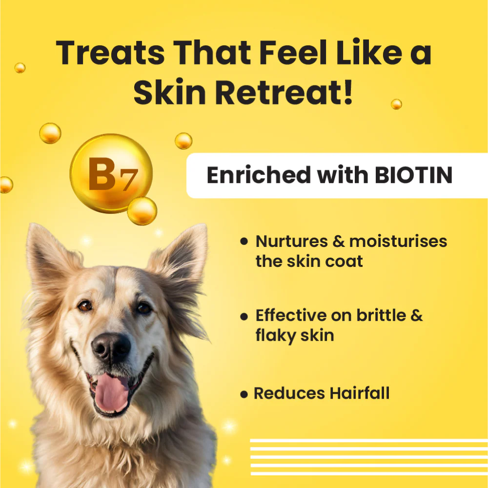 Bark Out Loud Skin & Coat Sardine Oil for Dogs and Cats - Image 2