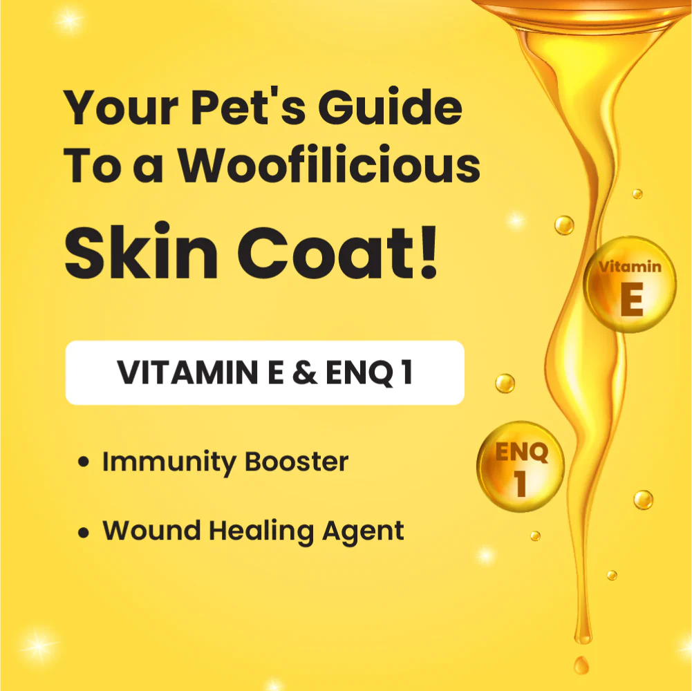 Bark Out Loud Skin & Coat Sardine Oil for Dogs and Cats - Image 4