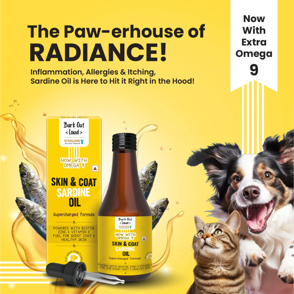 Bark Out Loud Skin & Coat Sardine Oil for Dogs and Cats - Image 6