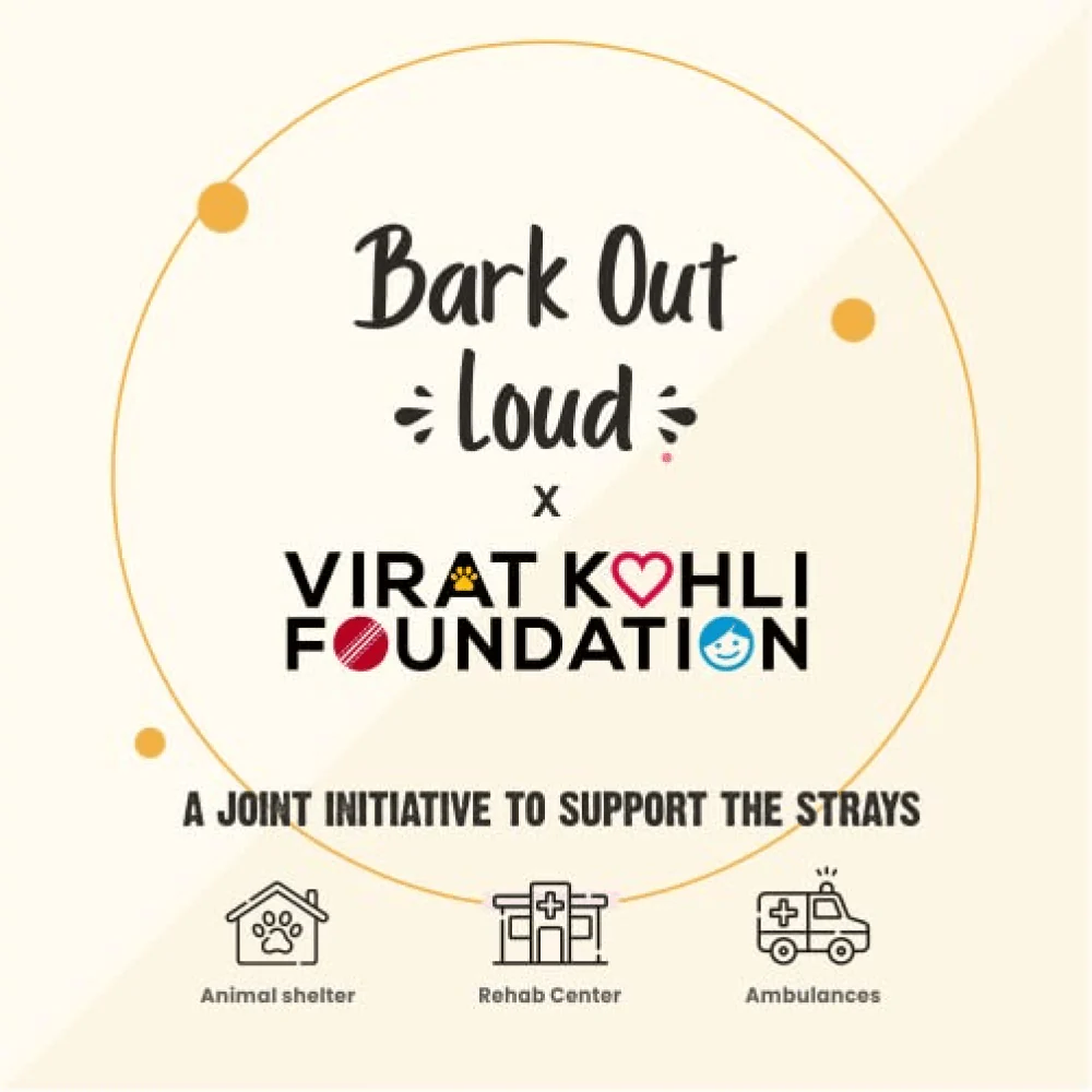 Bark Out Loud Skin & Coat Sardine Oil for Dogs and Cats - Image 8