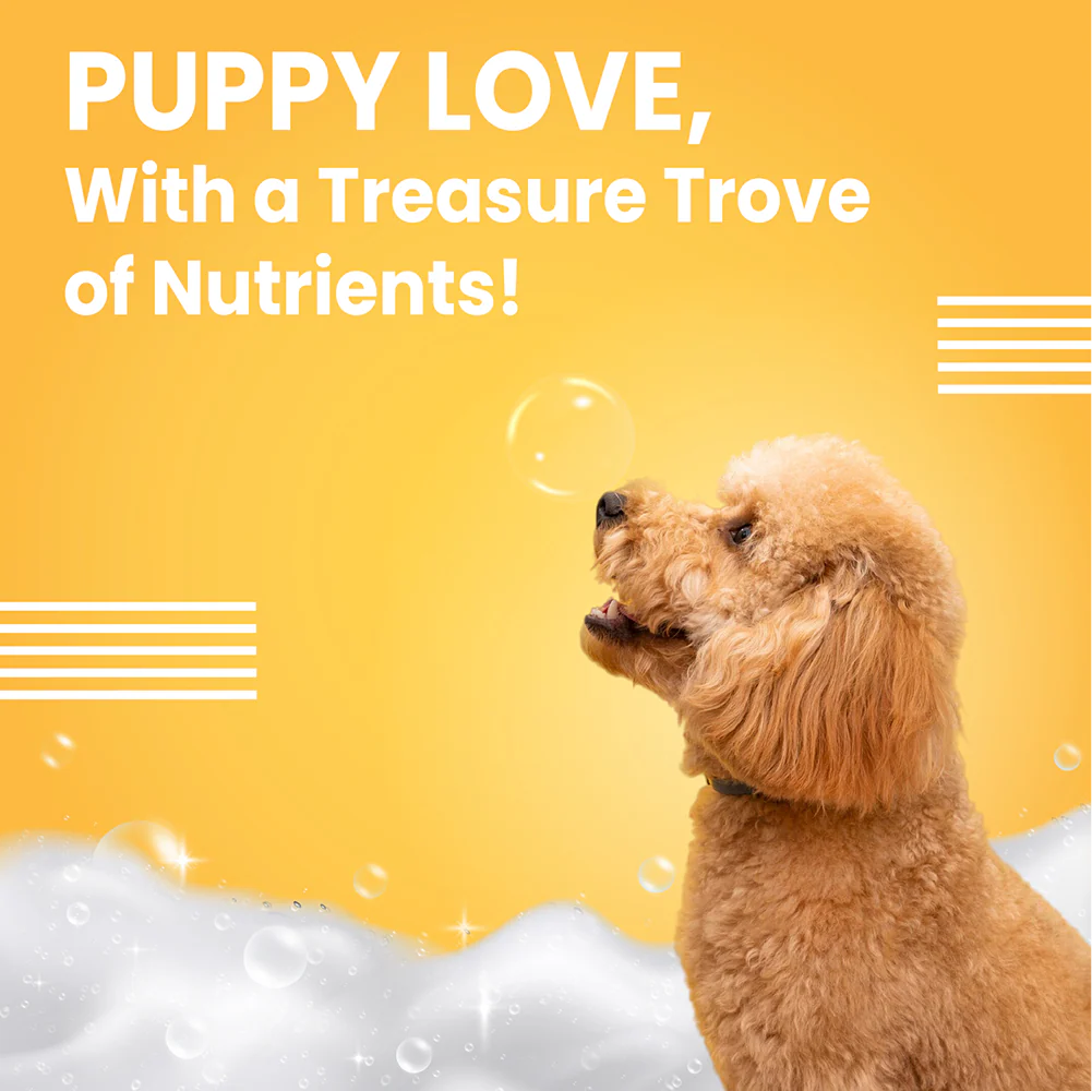 Bark Out Loud Soft Coat Puppy Shampoo for Dogs - Image 7