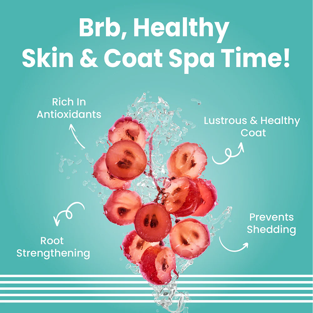 Bark Out Loud Tangle Free Serum for Dogs - Image 4