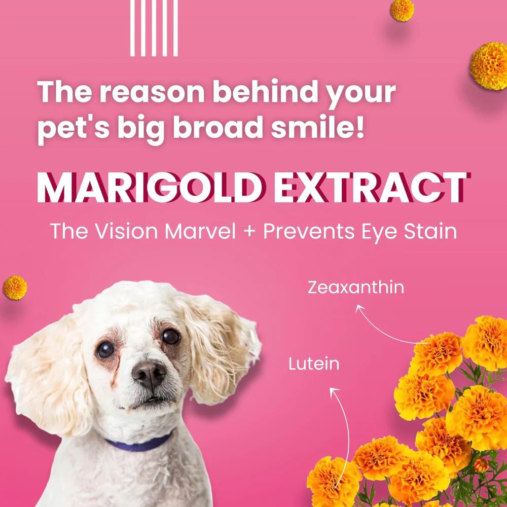Bark Out Loud Tear Stains Eyebright Chew Stix Dog Treats - Image 2