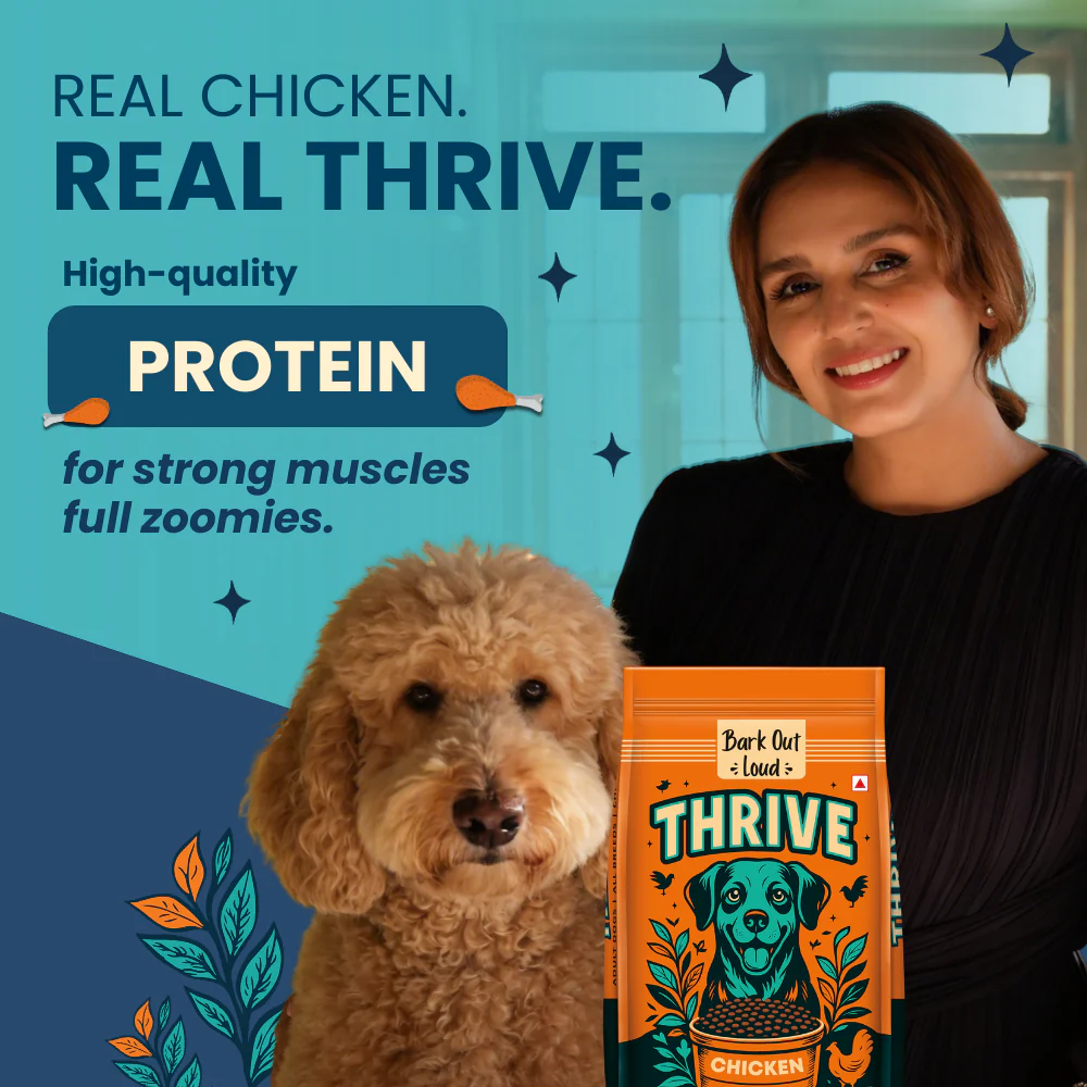 Bark Out Loud Thrive Chicken Flavour Adult Dog Dry Food - Image 2