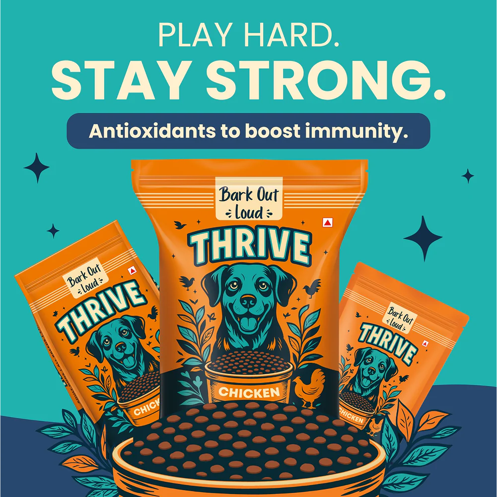 Bark Out Loud Thrive Chicken Flavour Adult Dog Dry Food - Image 3