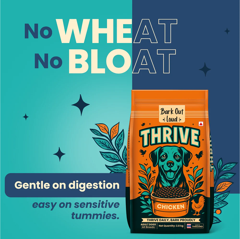 Bark Out Loud Thrive Chicken Flavour Adult Dog Dry Food - Image 4