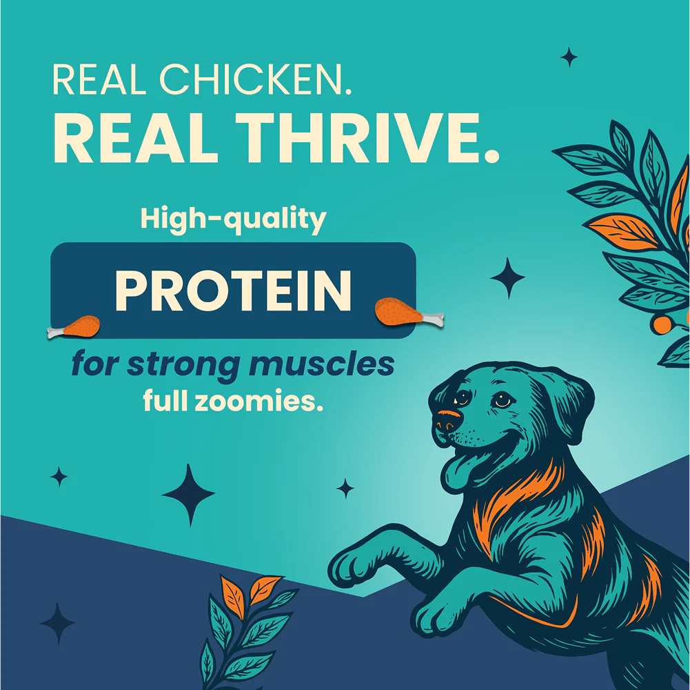 Bark Out Loud Thrive Chicken Flavour Adult Dog Dry Food - Image 5