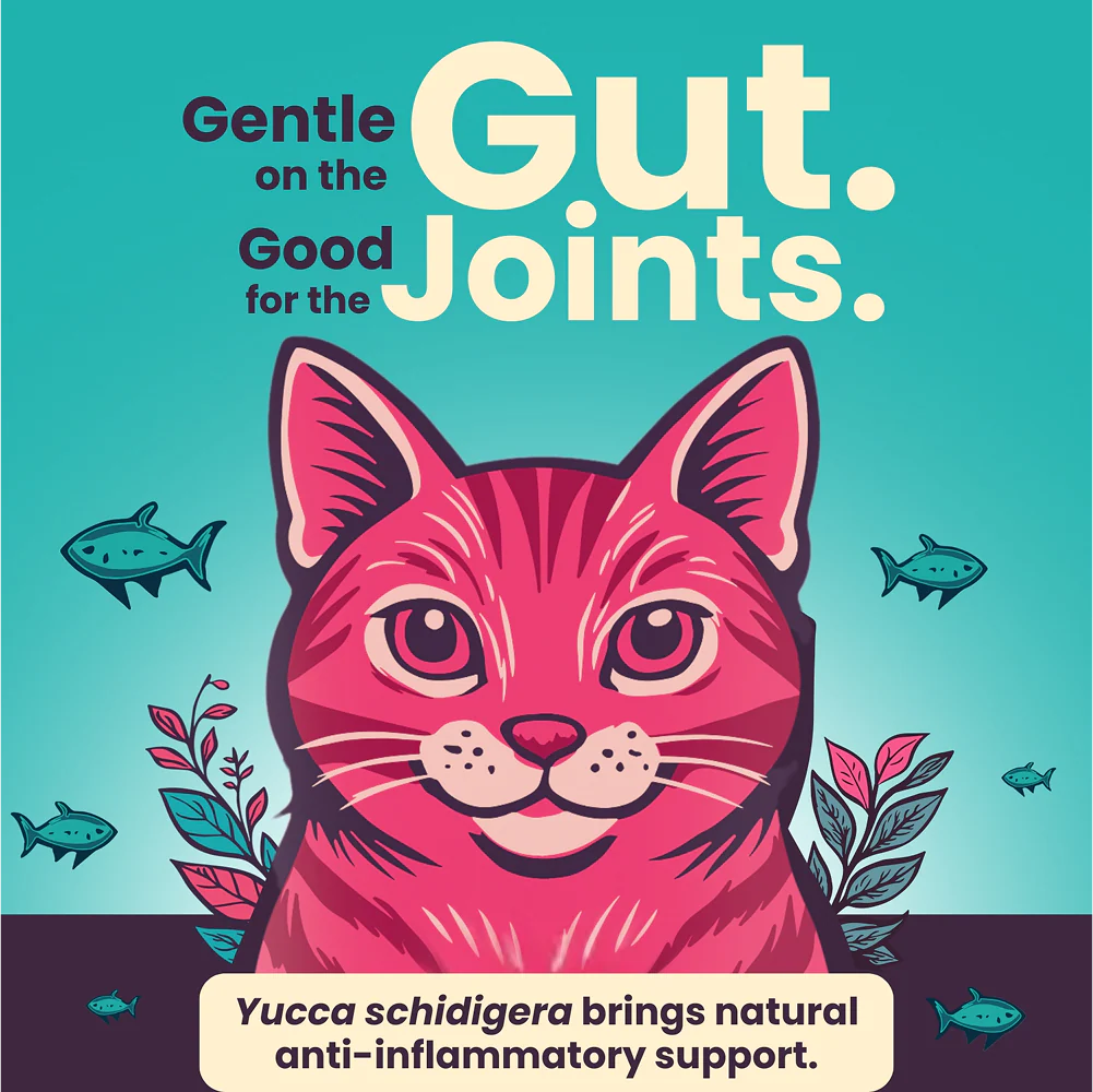 Bark Out Loud Thrive Tuna Flavour Adult Cat Dry Food - Image 5