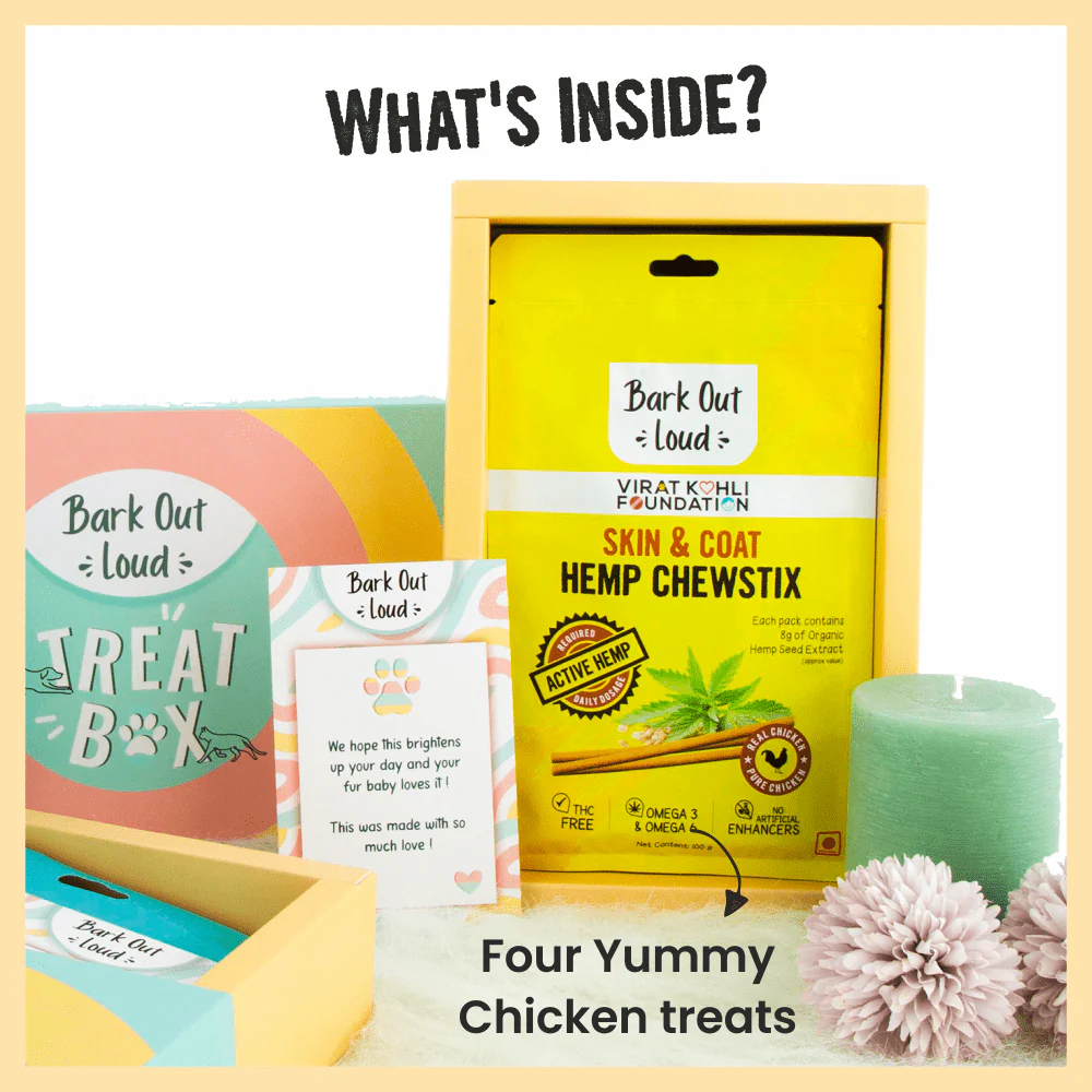 Bark Out Loud Treat Box for Dogs and Cats (Pack of 4) - Image 2