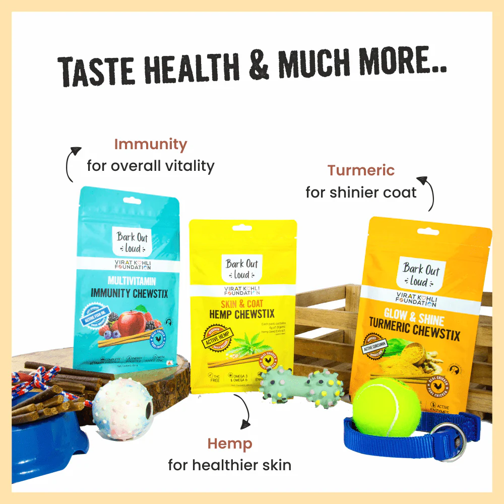 Bark Out Loud Treat Box for Dogs and Cats (Pack of 4) - Image 3