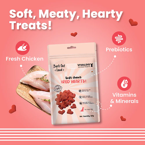 Bark Out Loud Valentine's Special Red Heart Dog Treat - Image 2