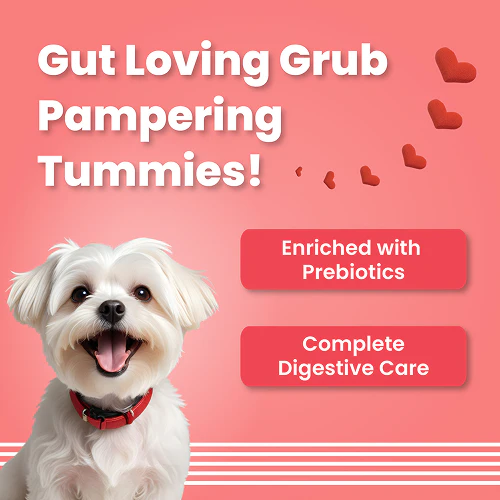 Bark Out Loud Valentine's Special Red Heart Dog Treat - Image 3