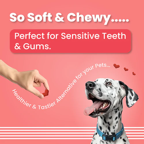 Bark Out Loud Valentine's Special Red Heart Dog Treat - Image 5