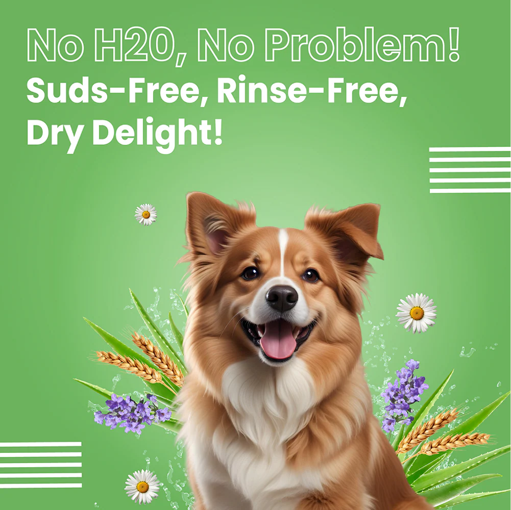 Bark Out Loud No Mess Waterless Dry Shampoo for Dogs - Image 7
