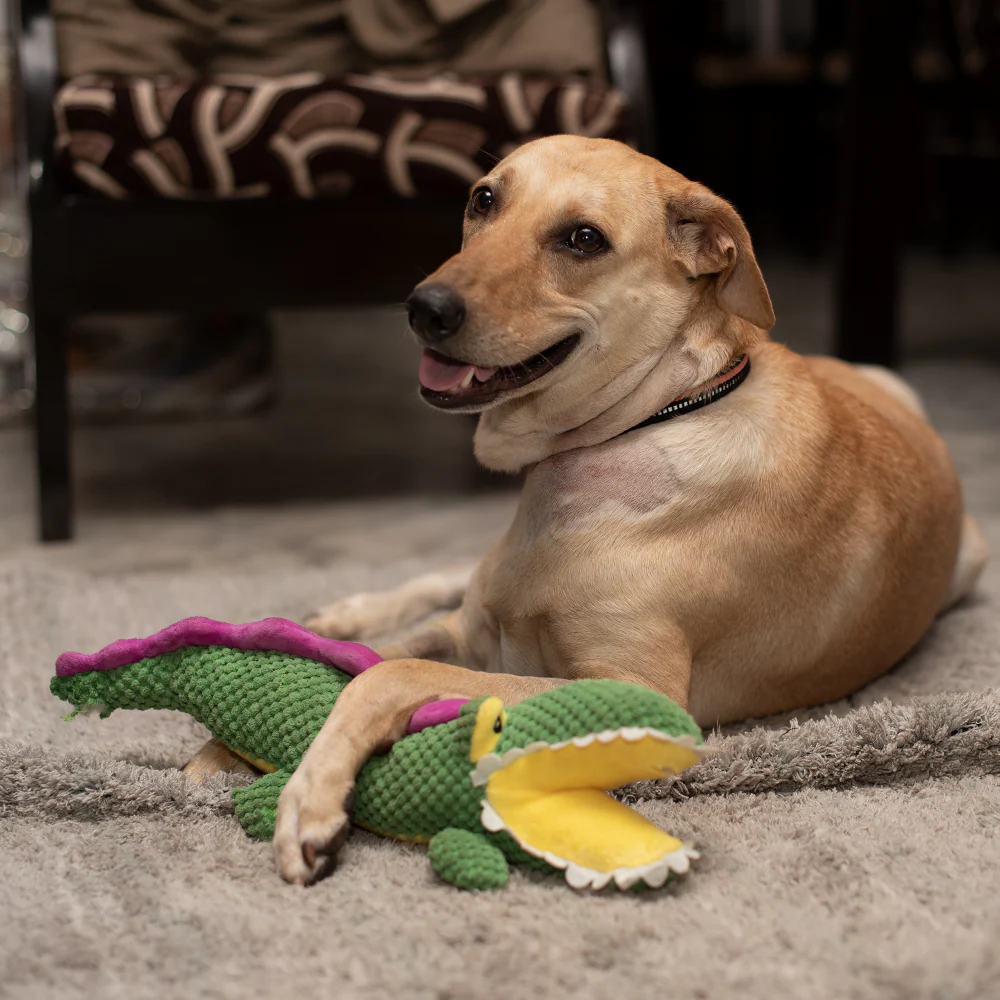 Barkbutler Aly The Gator Plush Toy for Dogs | For Medium Chewers (Green) - Image 10