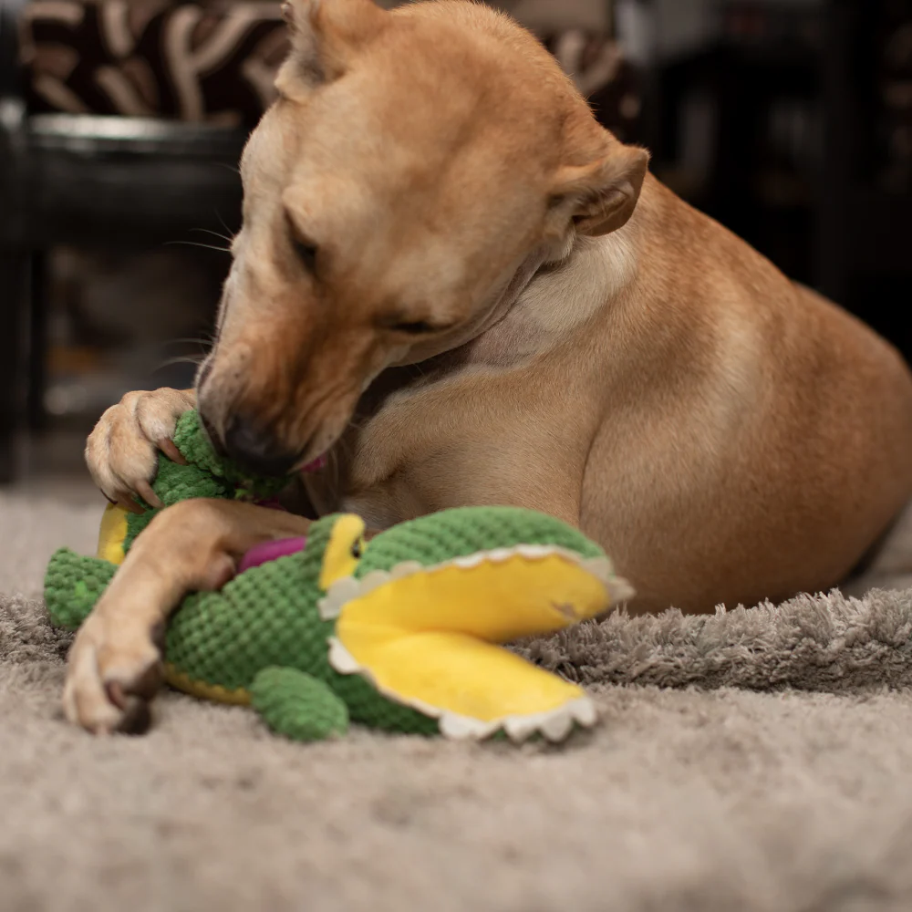 Barkbutler Aly The Gator Plush Toy for Dogs | For Medium Chewers (Green) - Image 9