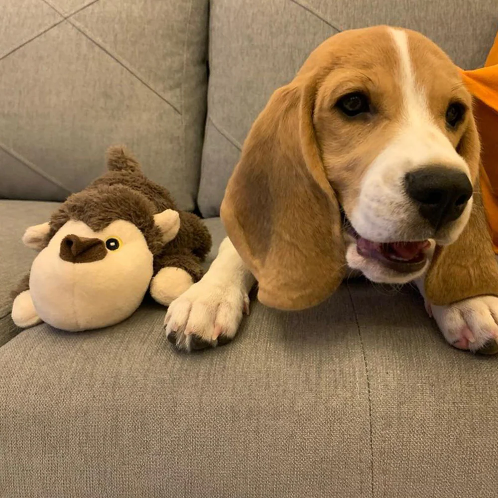 Barkbutler Boh The Bear Plush Toy for Dogs | For Medium Chewers (Brown) - Image 10