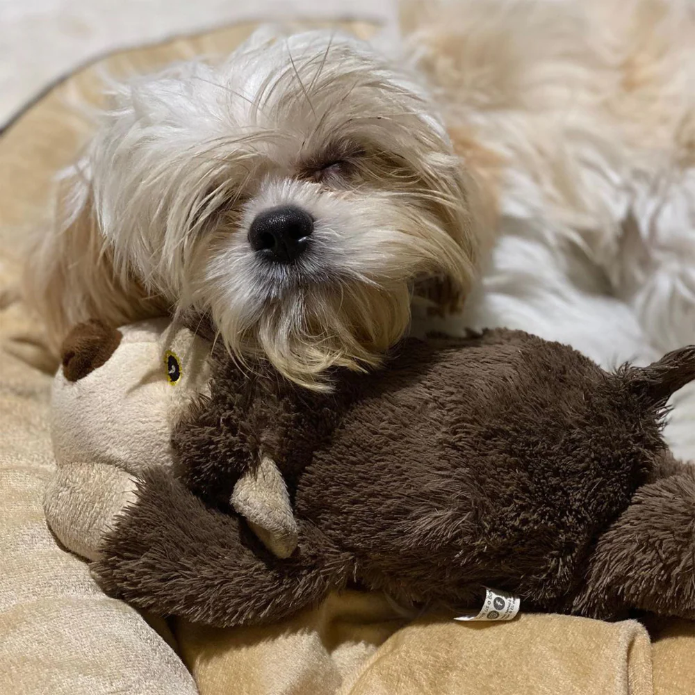 Barkbutler Boh The Bear Plush Toy for Dogs | For Medium Chewers (Brown) - Image 12