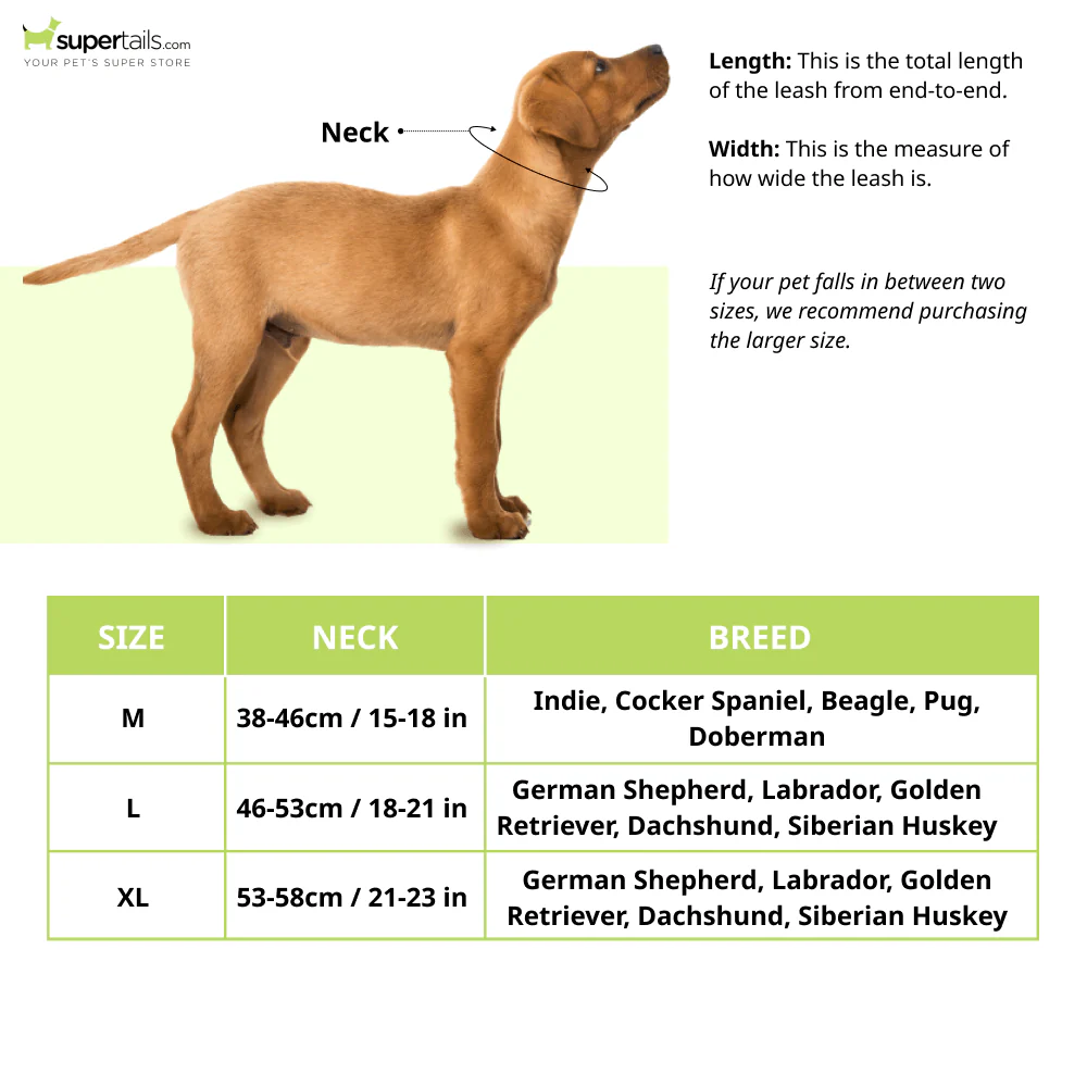 Barkbutler Delhi Bellies Bandana for Dogs | Indian Pet League - Image 3