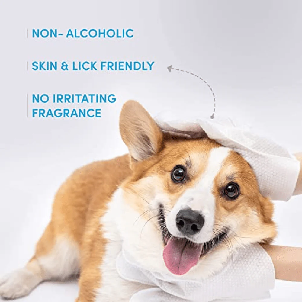 Barkbutler x Fofos 8 Waterless Wash Gloves for Dogs and Cats - Image 2