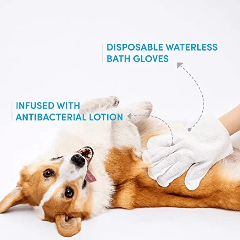 Barkbutler x Fofos 8 Waterless Wash Gloves for Dogs and Cats - Image 3