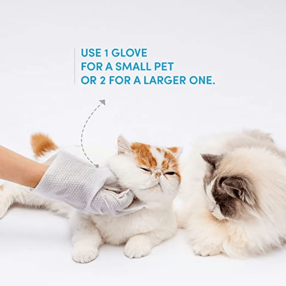 Barkbutler x Fofos 8 Waterless Wash Gloves for Dogs and Cats - Image 6