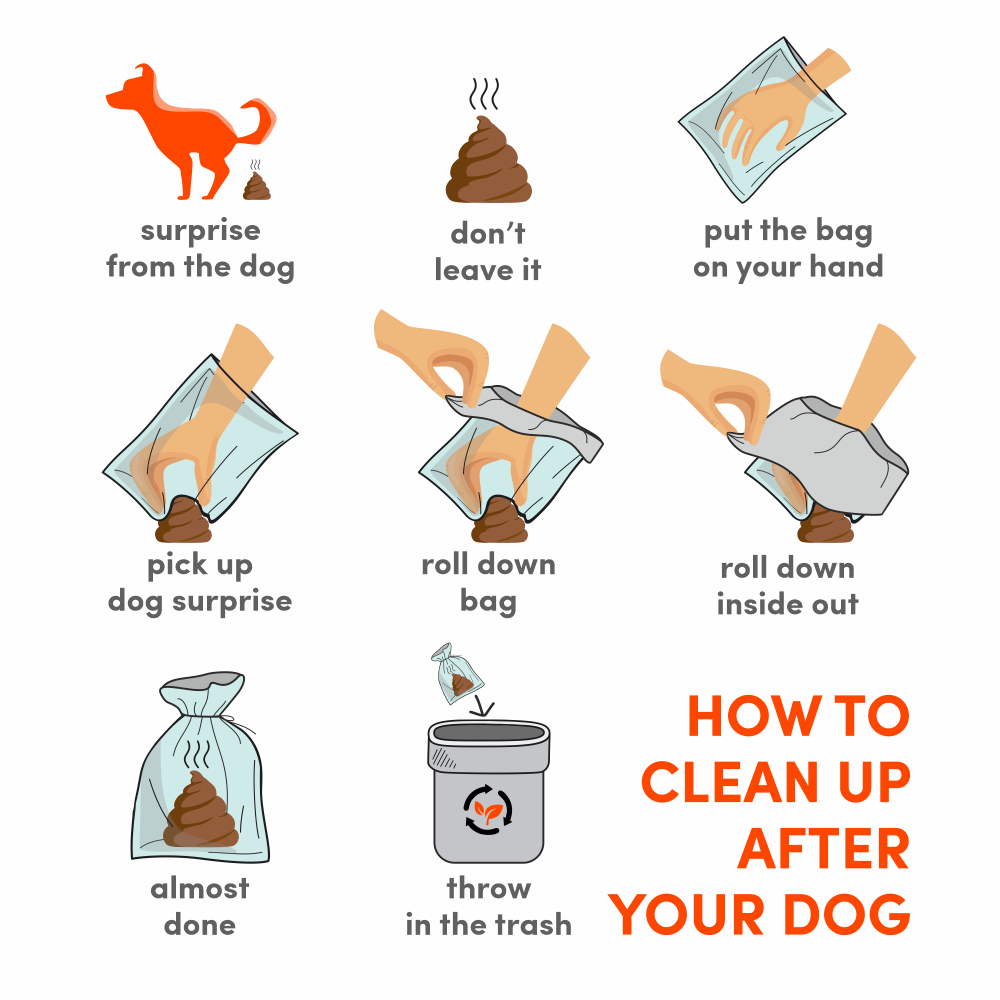 Barkbutler x Fofos Poop Bag Refills for Dogs and Cats - Image 3