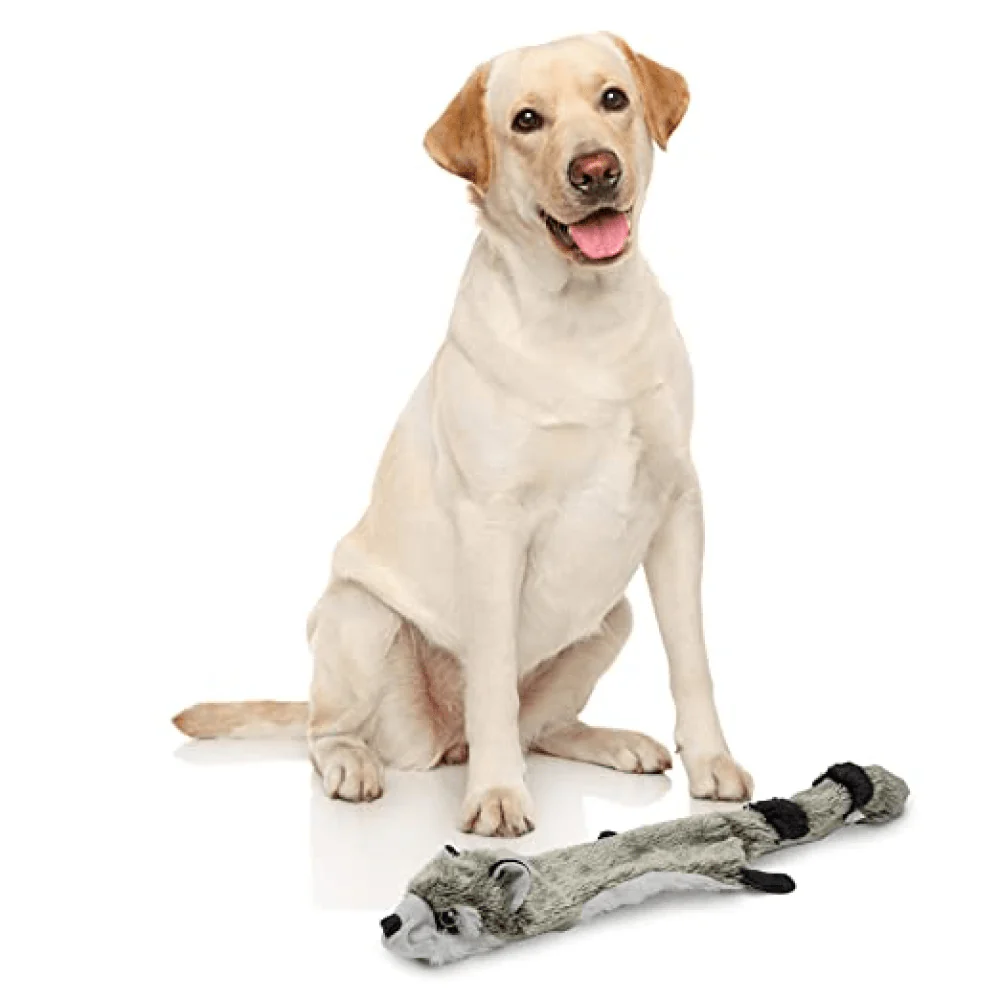 Barkbutler x Fofos Skinneez Raccoon Toy for Dogs - Image 8