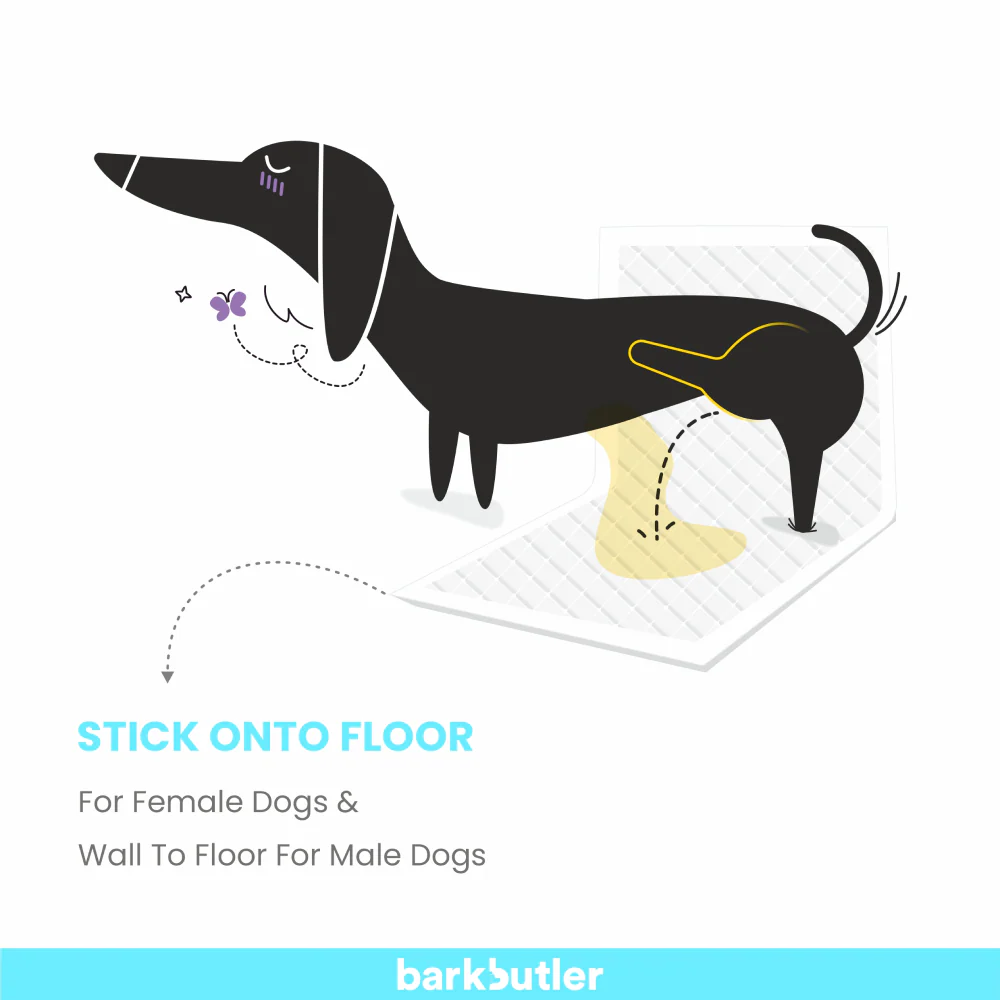 Barkbutler x Fofos Training Pad for Dogs (45x60cm) - Image 5