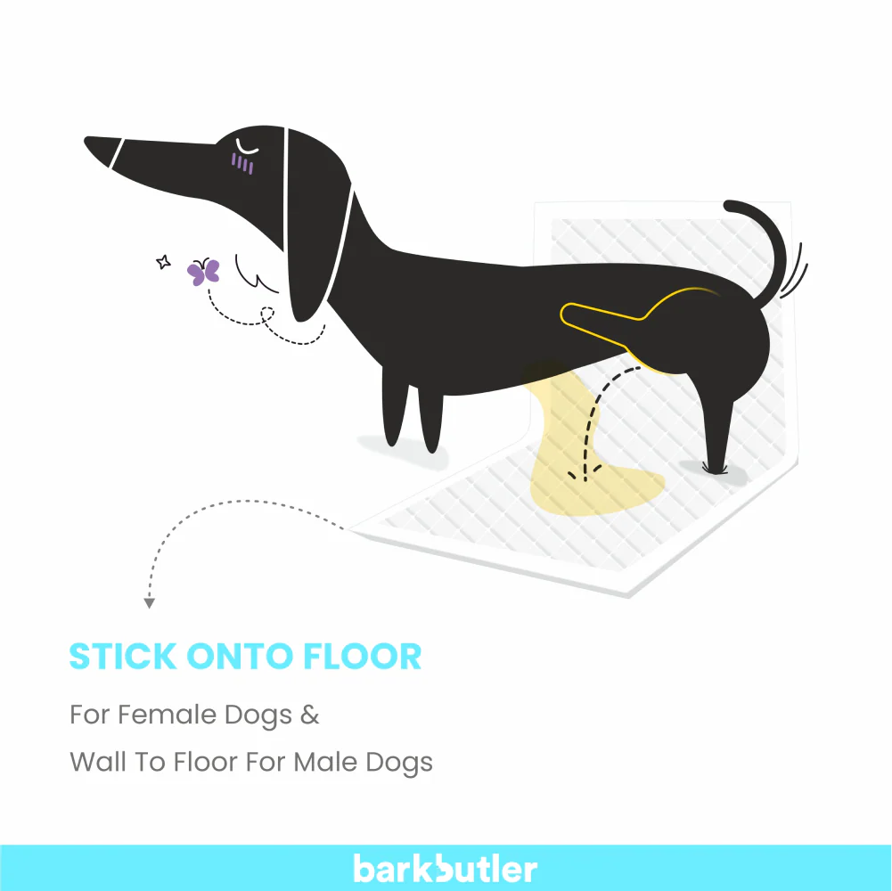 Barkbutler x Fofos Training Pad for Dogs (60x90cm) - Image 5