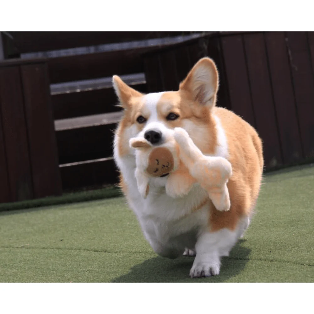Barkbutler x Fofos Glove Plush Sheep Toy for Cats - Image 6