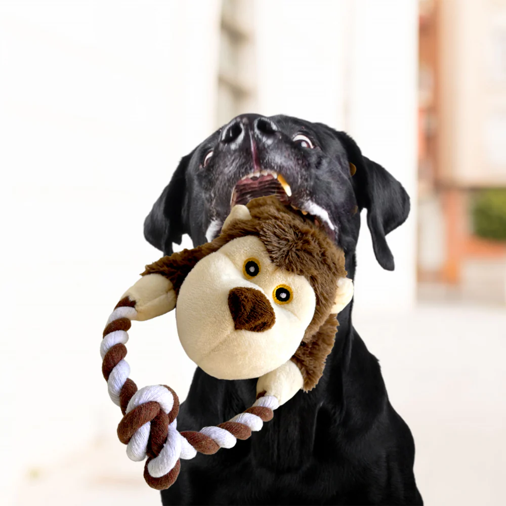Barkbutler Knotty The Bear Plush Toy for Dogs - Image 7