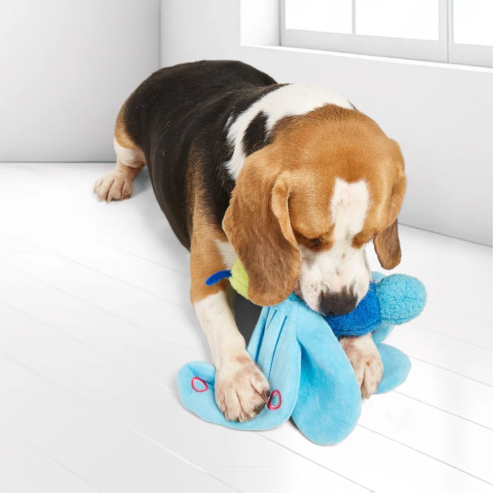Barkbutler x Fofos Jumbo Butterfly Plush Toy for Dogs (Blue) - Image 7